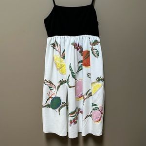 Zara | Rubberized Fruit Dress